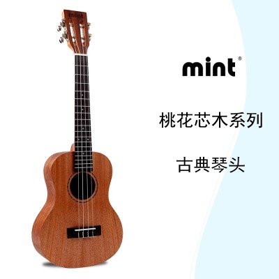 Mint Jo Kerry Lee Vuk Lily 23 inch /26 inch beginner four string small guitar instrument ukulele