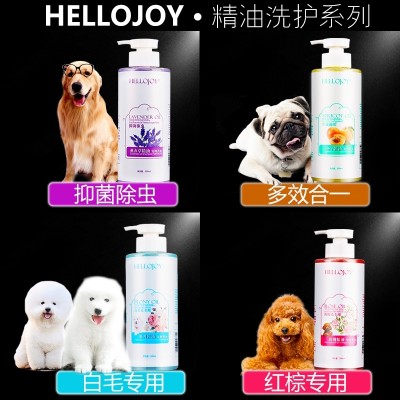 The dog bath sterilization cat pet bath supplies Tactic Bichon acaricidal antibacterial shampoo hair