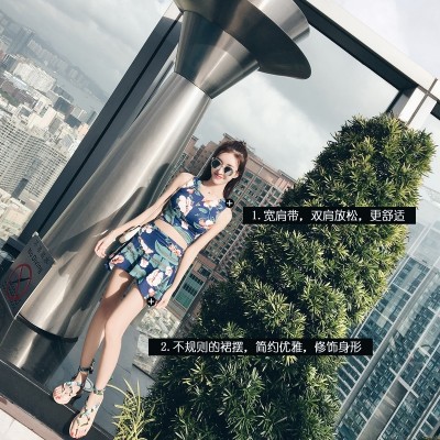 Yi Meishan two or three female dress style spa gather small chest cover belly split boxer swimsuit conservative