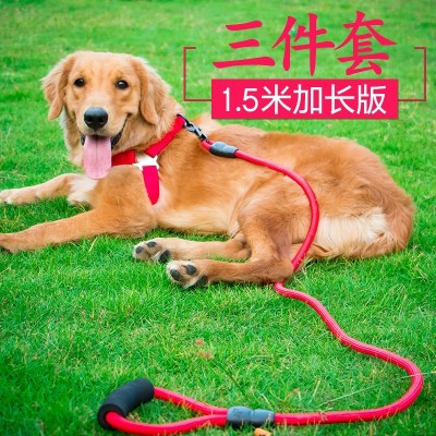 Dogs, traction ropes, dogs, chain collars, Teddy, golden cats, small, medium and large dogs, dogs, ropes, pet products