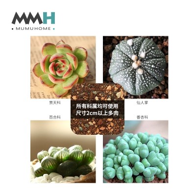 MMH fleshy plant nutrition soil peat soil color pavement stone granular soil akadama soil soil.