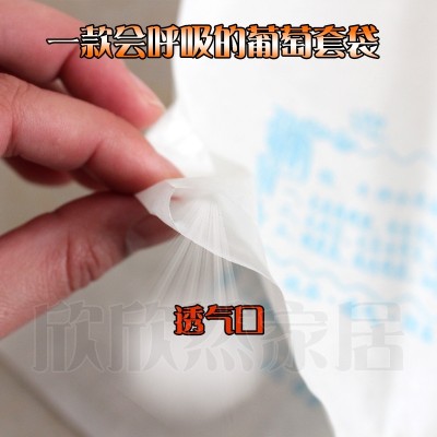 Wood pulp grape bagging bag waterproof bacteria pest bird grape fruit bag bag bag