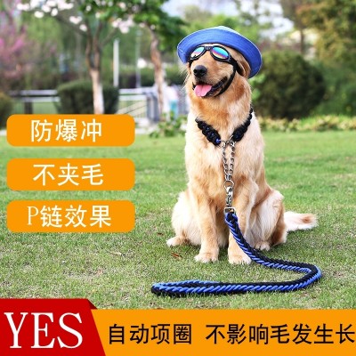 Středně velký pes psů se zlatými vlasy Labrador chodící pes lanový náhrdelník psů řetězec P řetězec trakční lano zásoby