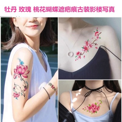 Stort bilde tatoveringspinne, varig kvinnelig pion, rose ferskenblomst, sommerfugl arrmaske, fotoalbumkiste